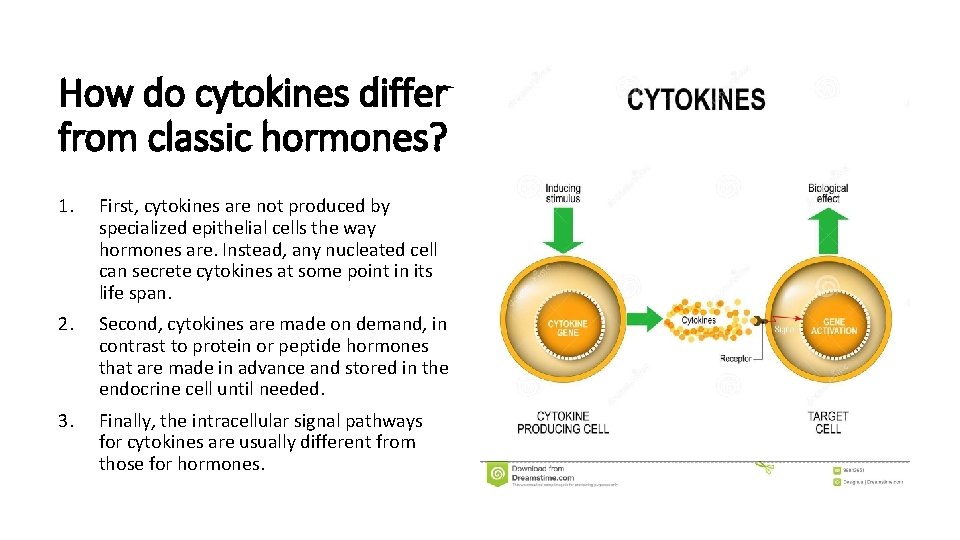 How do cytokines differ from classic hormones? 1. First, cytokines are not produced by