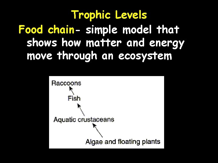 Trophic Levels Food chain- simple model that shows how matter and energy move through