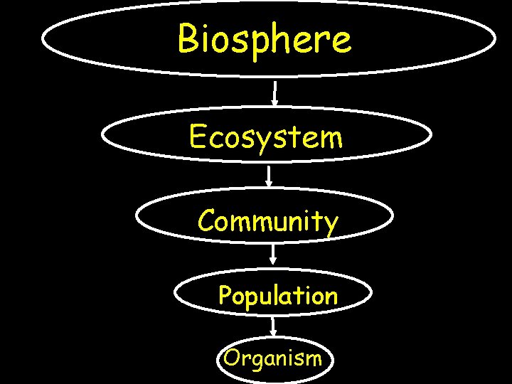 Biosphere Ecosystem Community Population Organism 