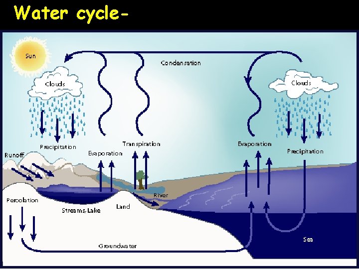 Water cycle- 