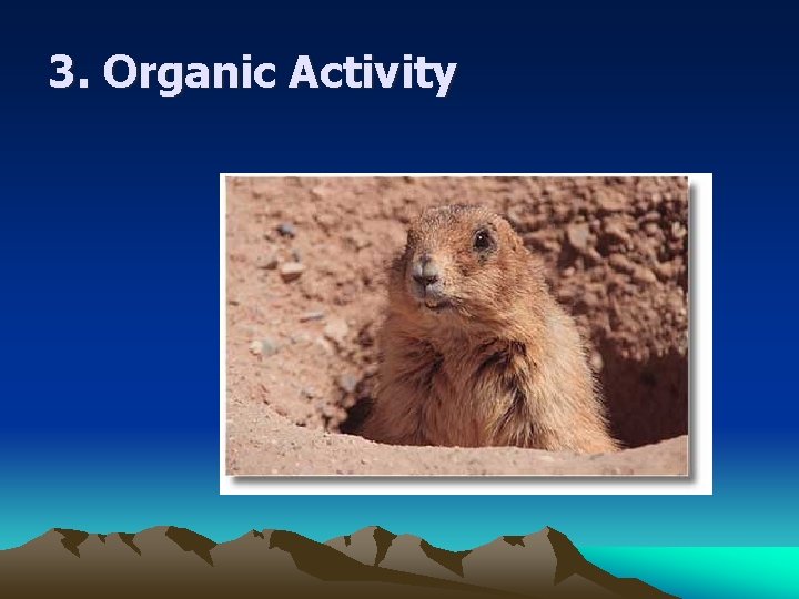 3. Organic Activity 