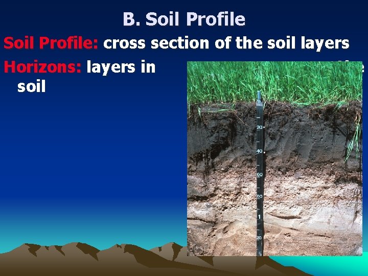B. Soil Profile: cross section of the soil layers Horizons: layers in the soil