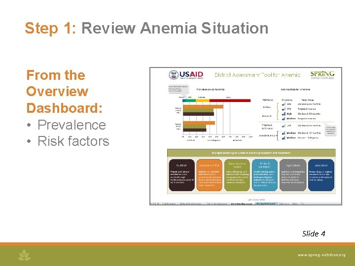 Decision Framework for Prioritization of Anemia Action Why