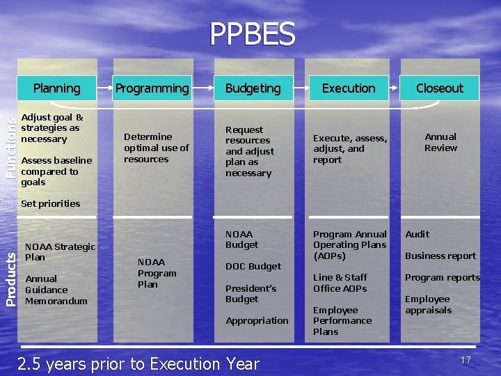 PPBES Functions Planning Adjust goal & strategies as necessary Assess baseline compared to goals