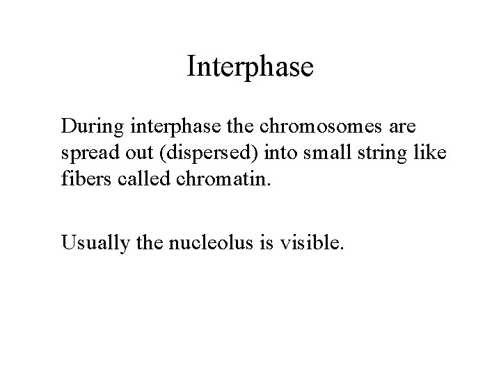 Interphase During interphase the chromosomes are spread out (dispersed) into small string like fibers