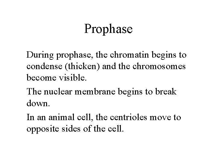 Prophase During prophase, the chromatin begins to condense (thicken) and the chromosomes become visible.