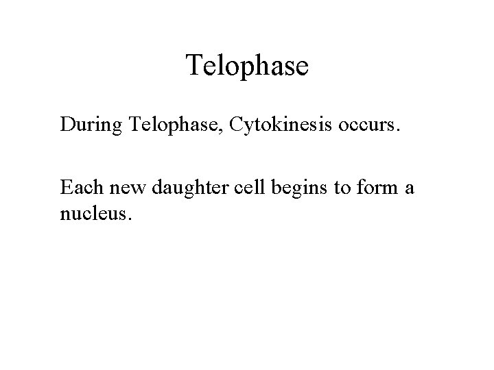 Telophase During Telophase, Cytokinesis occurs. Each new daughter cell begins to form a nucleus.