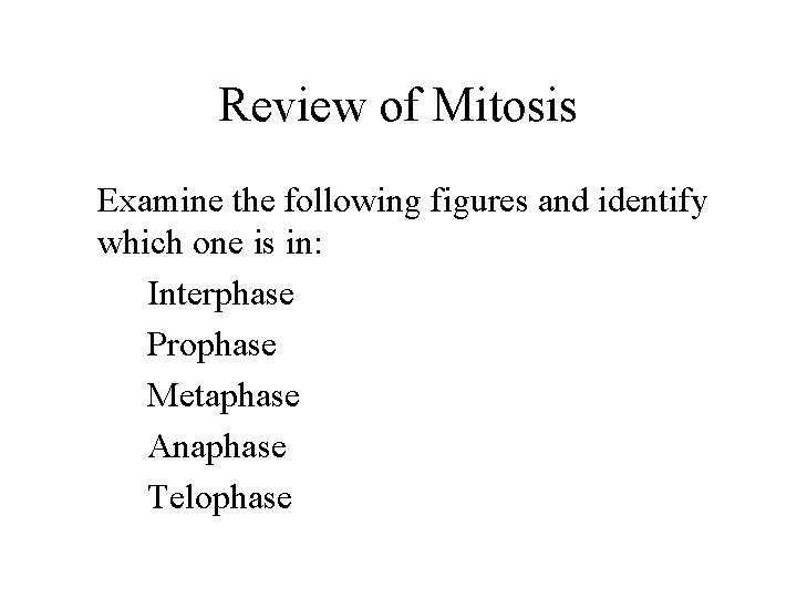 Review of Mitosis Examine the following figures and identify which one is in: Interphase