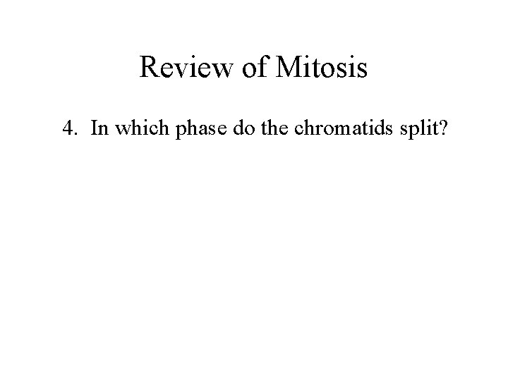 Review of Mitosis 4. In which phase do the chromatids split? 