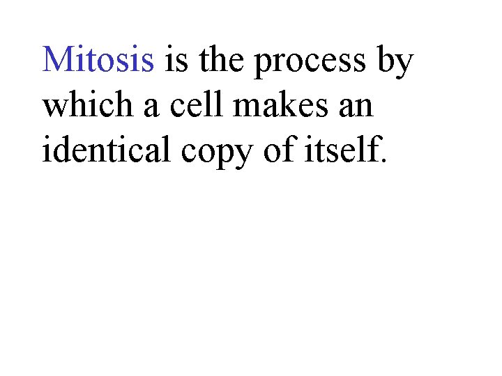 Mitosis is the process by which a cell makes an identical copy of itself.