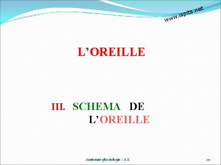 et n. s t pi w. is ww L’OREILLE III. SCHEMA DE L’OREILLE Anatomie