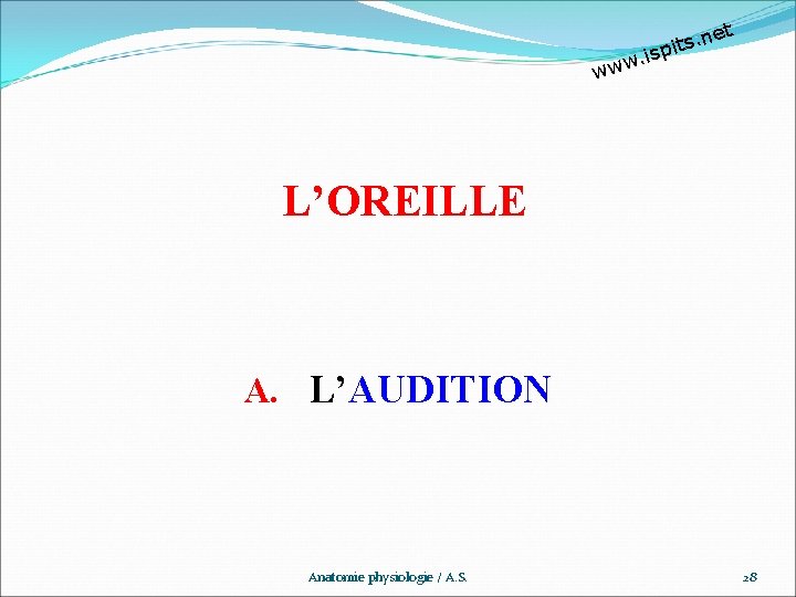 et n. s t pi w. is ww L’OREILLE A. L’AUDITION Anatomie physiologie /