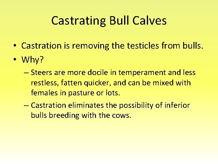 Castrating Bull Calves • Castration is removing the testicles from bulls. • Why? –