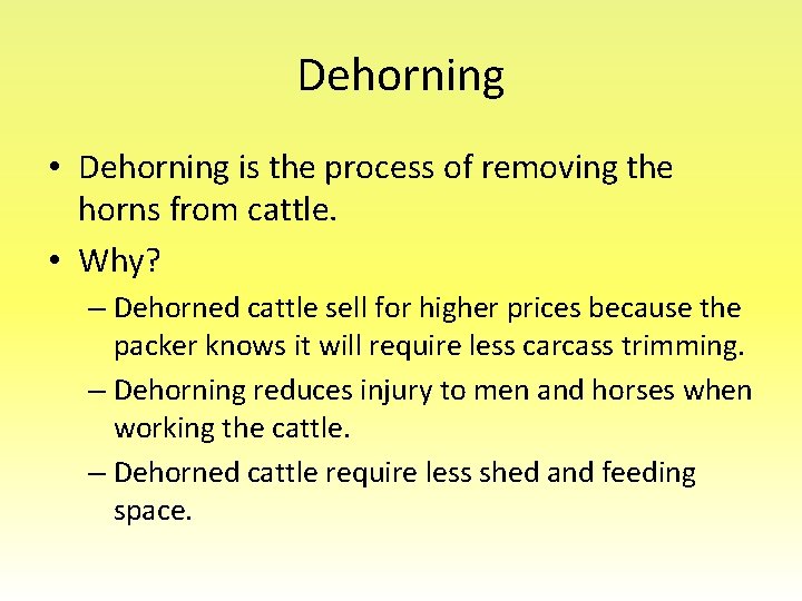 Dehorning • Dehorning is the process of removing the horns from cattle. • Why?