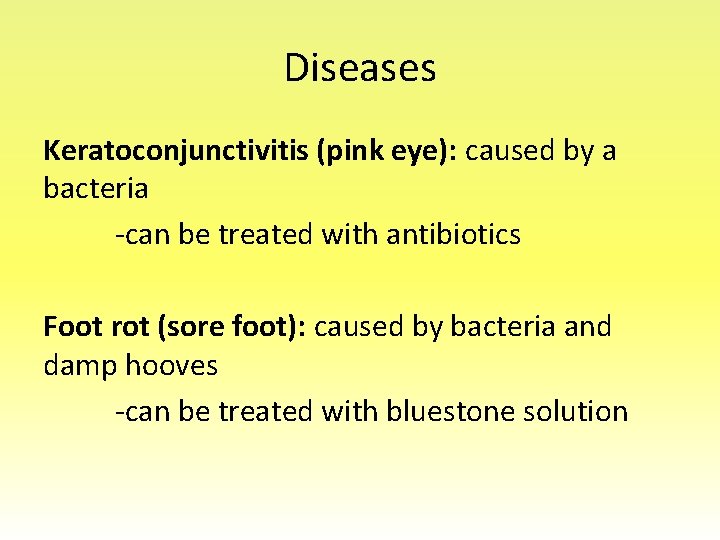 Diseases Keratoconjunctivitis (pink eye): caused by a bacteria -can be treated with antibiotics Foot