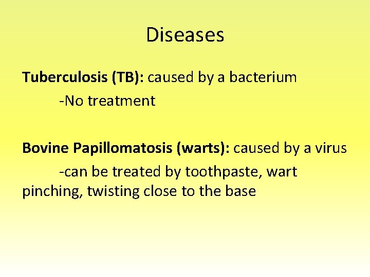 Diseases Tuberculosis (TB): caused by a bacterium -No treatment Bovine Papillomatosis (warts): caused by