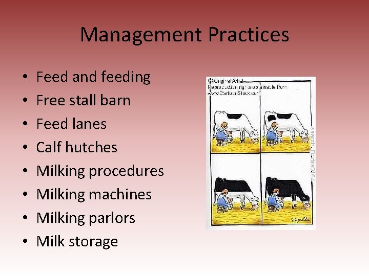Management Practices • • Feed and feeding Free stall barn Feed lanes Calf hutches
