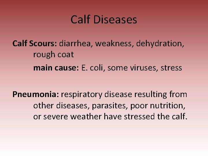 Calf Diseases Calf Scours: diarrhea, weakness, dehydration, rough coat main cause: E. coli, some