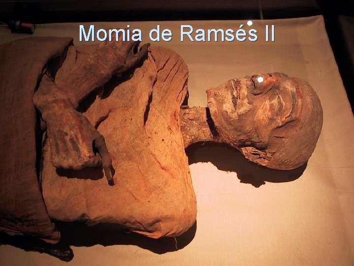 Momia de Ramsés II 