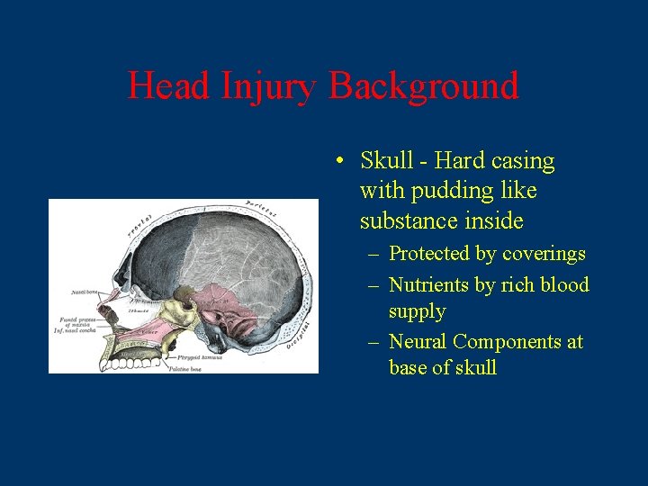 Head Injury Background • Skull - Hard casing with pudding like substance inside –