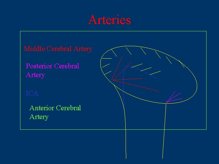 Arteries Middle Cerebral Artery Posterior Cerebral Artery ICA Anterior Cerebral Artery 