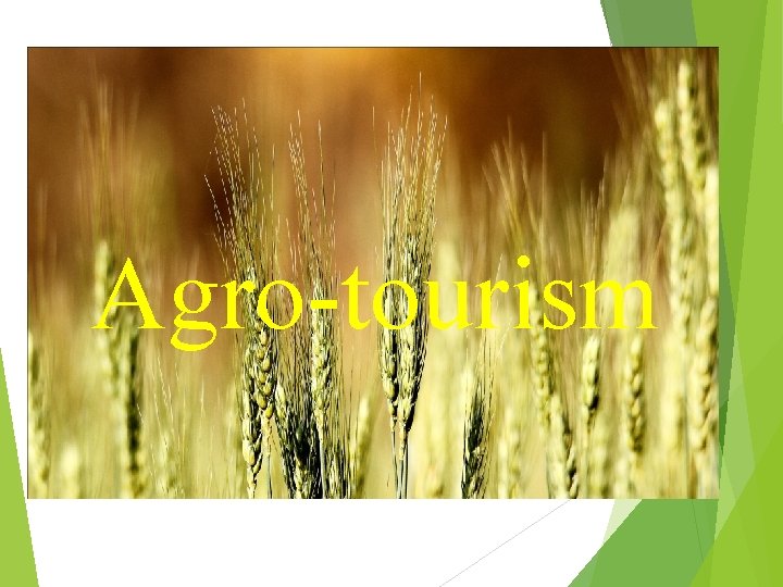 Agro-tourism 
