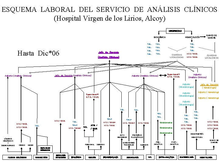 ESQUEMA LABORAL DEL SERVICIO DE ANÁLISIS CLÍNICOS (Hospital Virgen de los Lirios, Alcoy) URGENCIAS