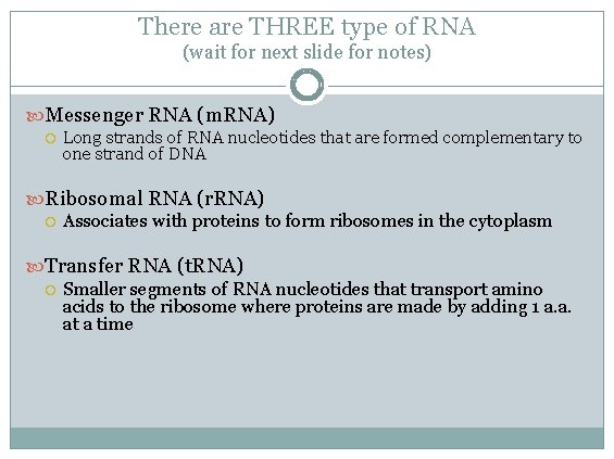 There are THREE type of RNA (wait for next slide for notes) Messenger RNA There are THREE type of RNA (wait for next slide for notes) Messenger RNA