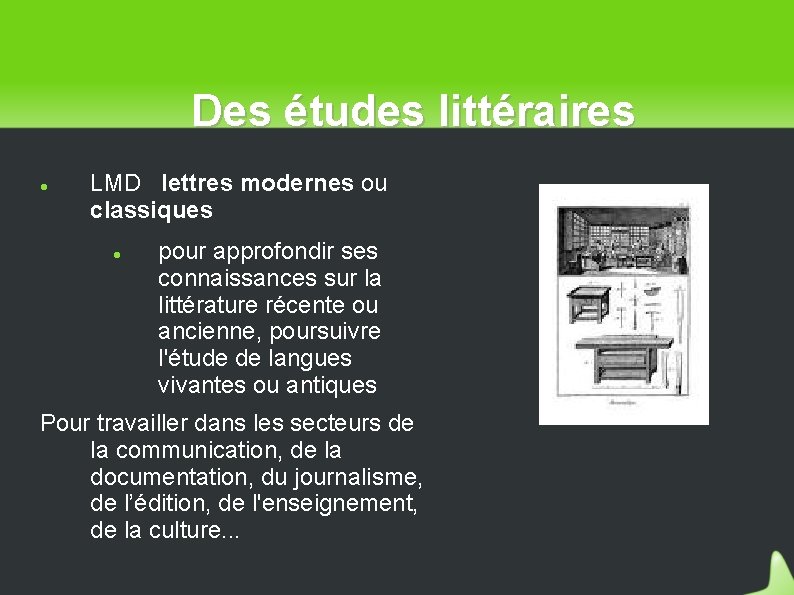 Des études littéraires LMD lettres modernes ou classiques pour approfondir ses connaissances sur la