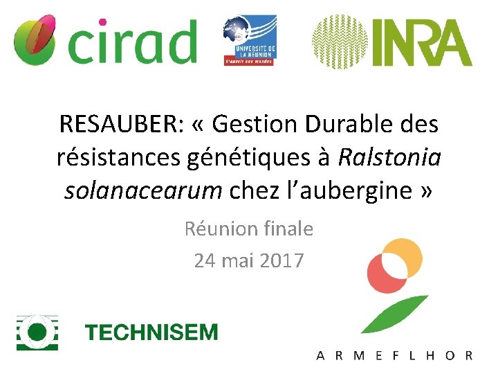 RESAUBER: « Gestion Durable des résistances génétiques à Ralstonia solanacearum chez l’aubergine » Réunion