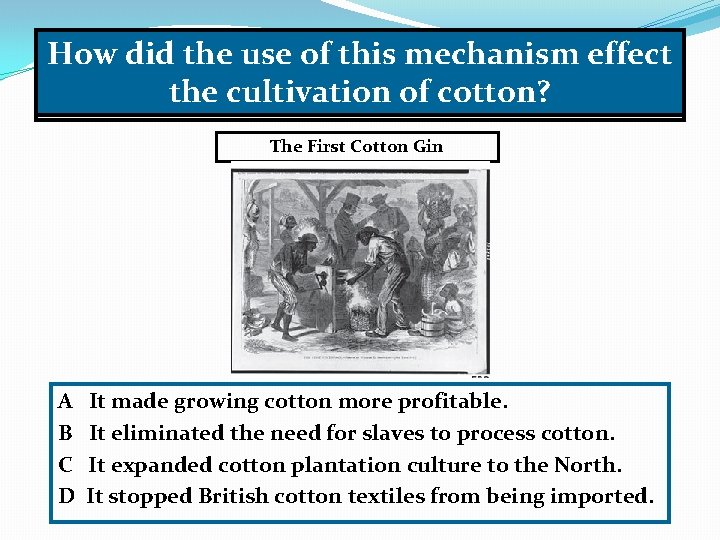 How did the use of this mechanism effect the cultivation of cotton? The First