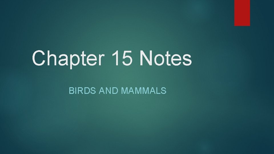 Chapter 15 Notes BIRDS AND MAMMALS 