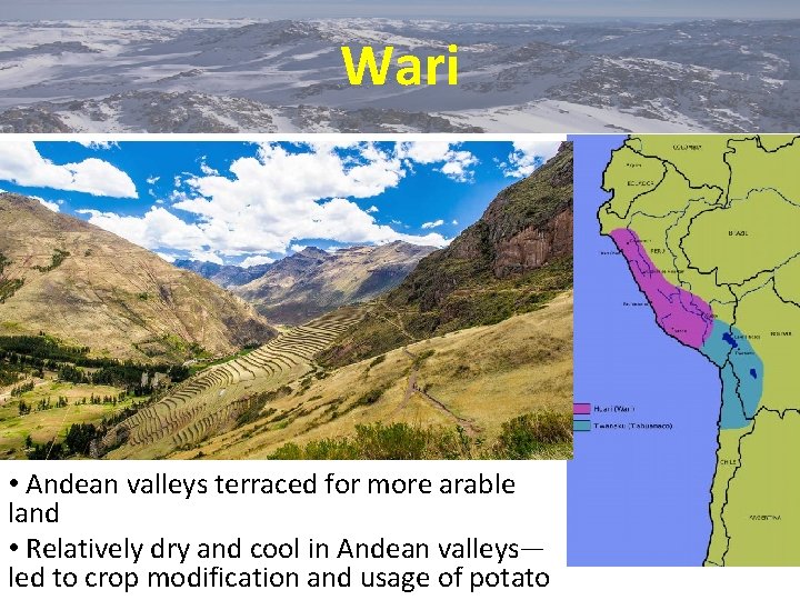 Wari • Andean valleys terraced for more arable land • Relatively dry and cool