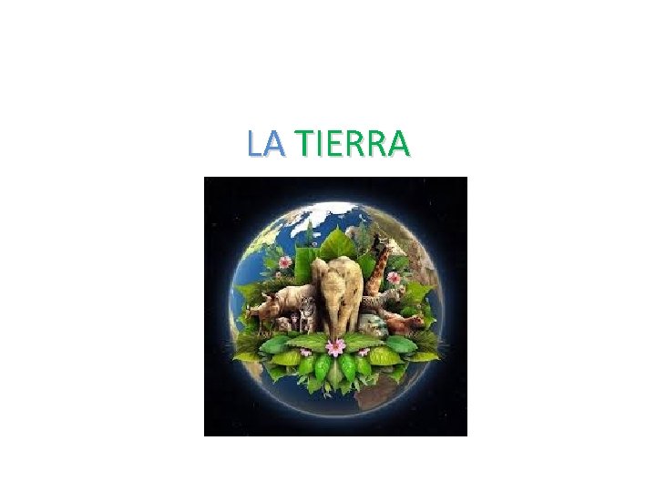 LA TIERRA 