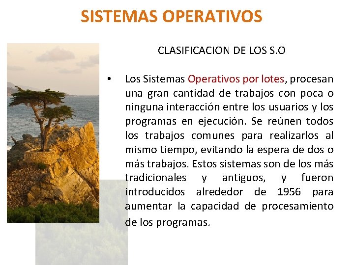 SISTEMAS OPERATIVOS CLASIFICACION DE LOS S. O • Los Sistemas Operativos por lotes, procesan