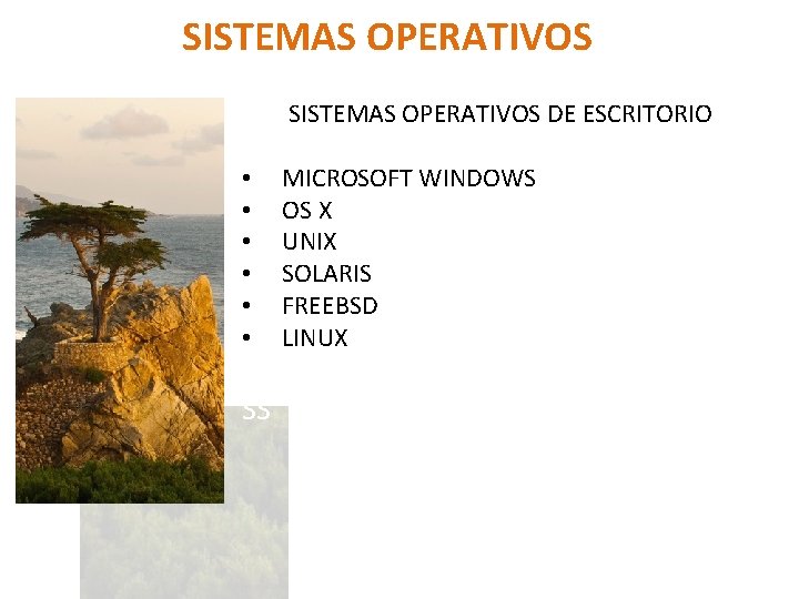 SISTEMAS OPERATIVOS DE ESCRITORIO • • • SS MICROSOFT WINDOWS OS X UNIX SOLARIS