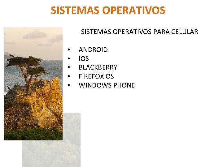 SISTEMAS OPERATIVOS PARA CELULAR • • • SS ANDROID IOS BLACKBERRY FIREFOX OS WINDOWS