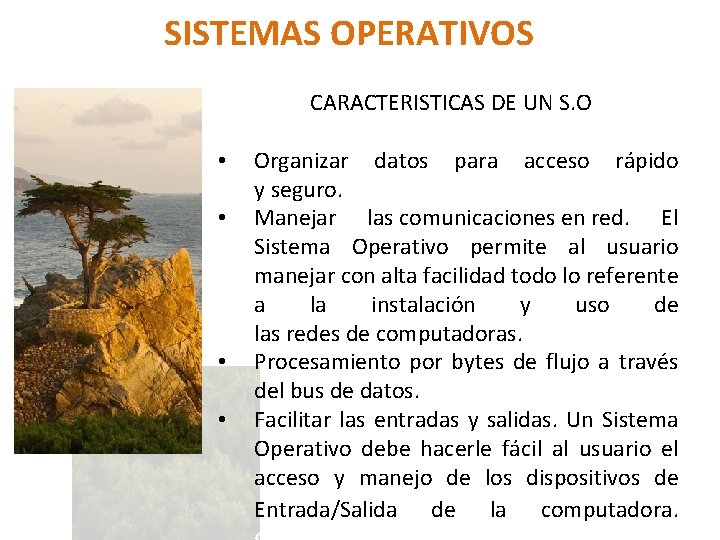 SISTEMAS OPERATIVOS CARACTERISTICAS DE UN S. O • • Organizar datos para acceso rápido