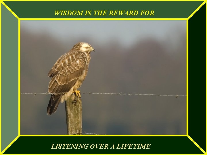 WISDOM IS THE REWARD FOR LISTENING OVER A LIFETIME 