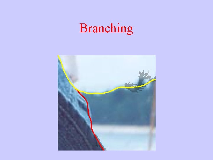 Branching 