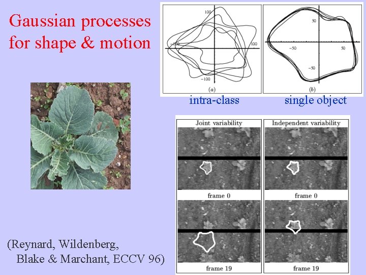 Gaussian processes for shape & motion intra-class (Reynard, Wildenberg, Blake & Marchant, ECCV 96)