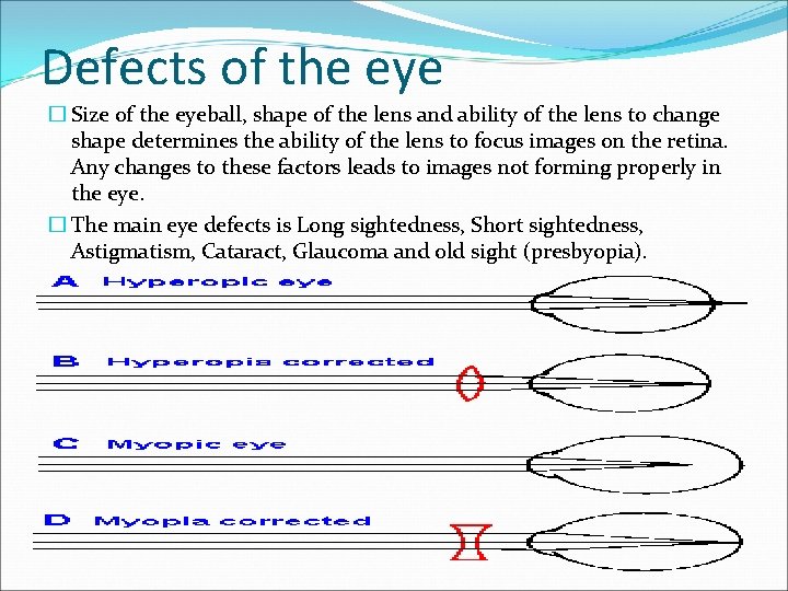 THE EYE The eye is the receptor organ
