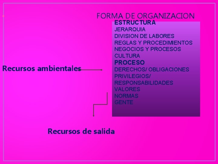 FORMA DE ORGANIZACION • ESTRUCTURA JERARQUIA DIVISION DE LABORES REGLAS Y PROCEDIMIENTOS NEGOCIOS Y