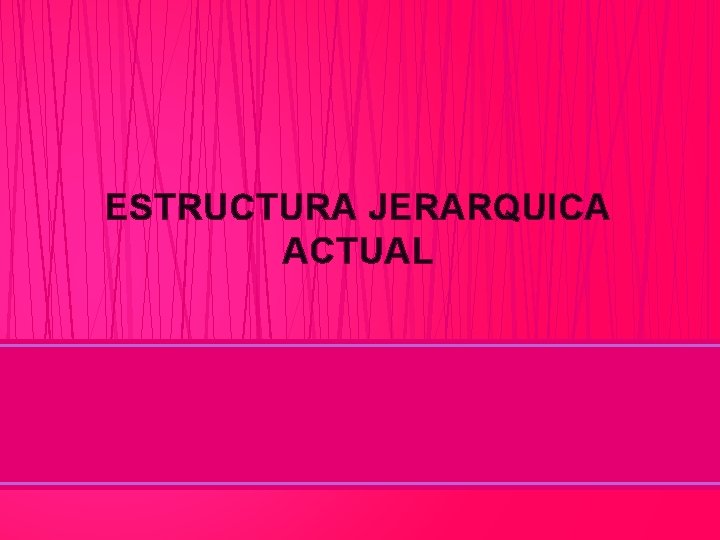 ESTRUCTURA JERARQUICA ACTUAL 