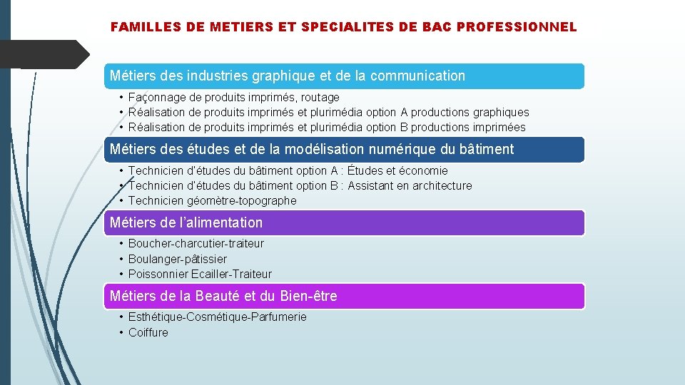 FAMILLES DE METIERS ET SPECIALITES DE BAC PROFESSIONNEL Métiers des industries graphique et de