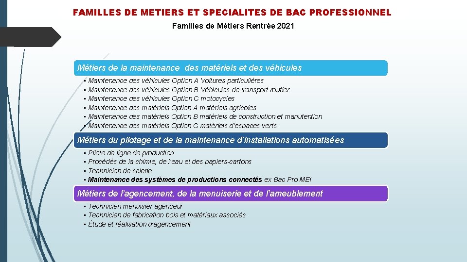 FAMILLES DE METIERS ET SPECIALITES DE BAC PROFESSIONNEL Familles de Métiers Rentrée 2021 Métiers