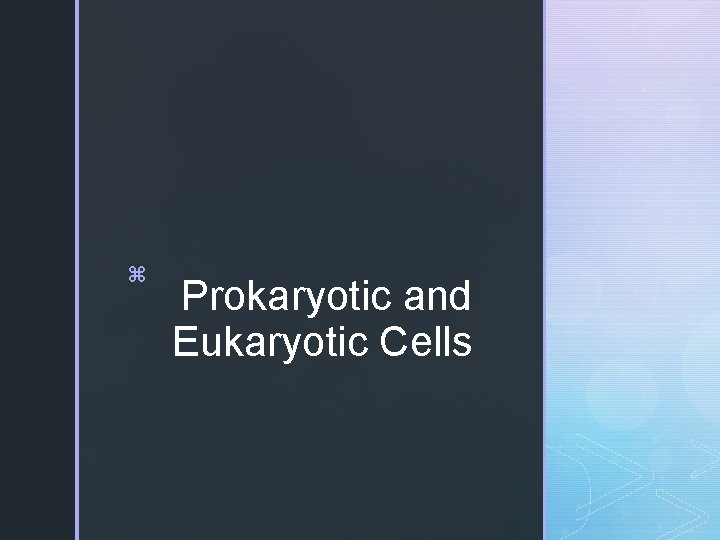 z Prokaryotic and Eukaryotic Cells 