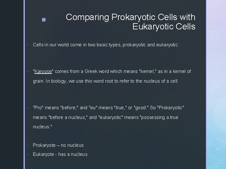 z Comparing Prokaryotic Cells with Eukaryotic Cells • Cells in our world come in