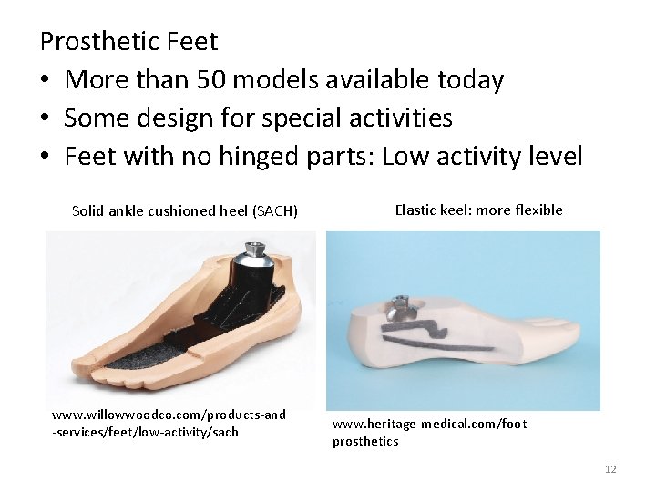 Prosthetic Feet • More than 50 models available today • Some design for special