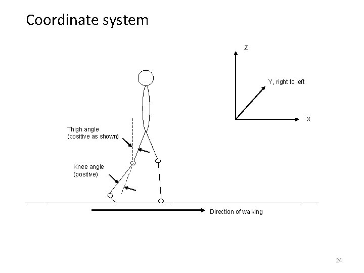 Coordinate system Z Y, right to left X Thigh angle (positive as shown) Knee